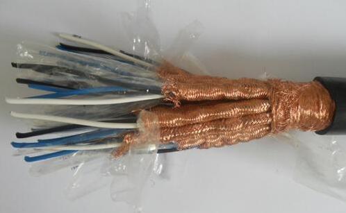 DJVP2V 电子计算机电缆