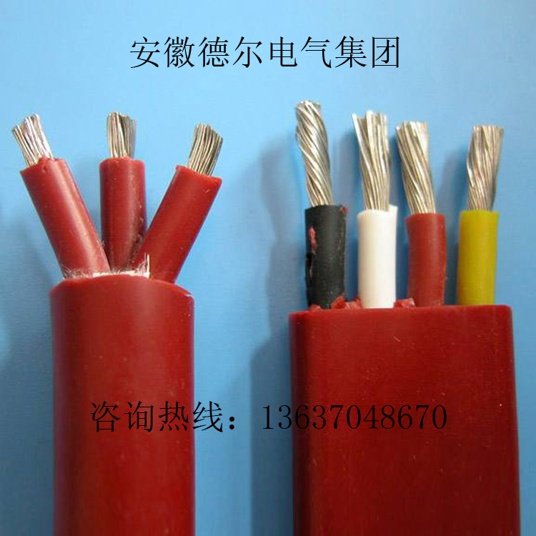 timg (18)����.jpg