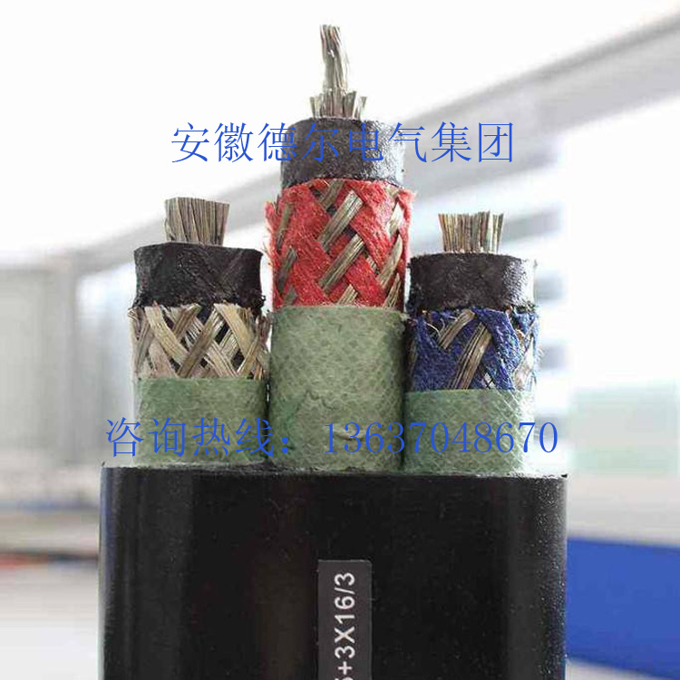 timg (12)����.jpg